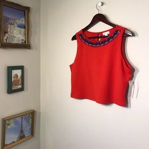 Bisou Bisou Crop Top